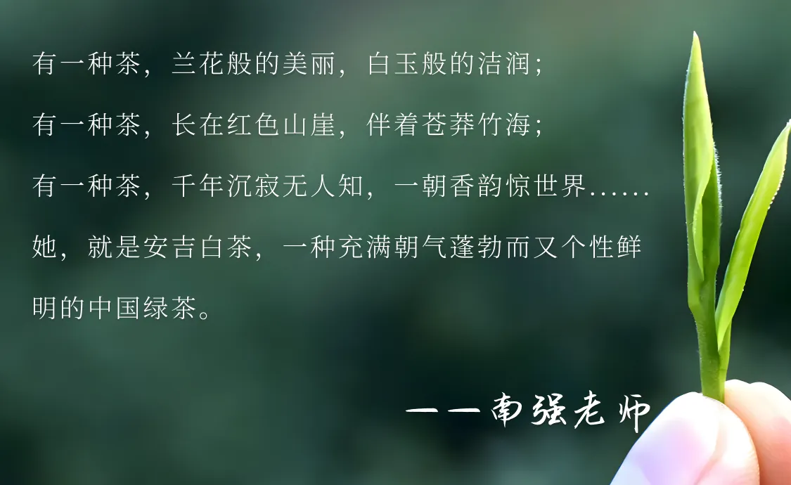 玉在璞,安吉