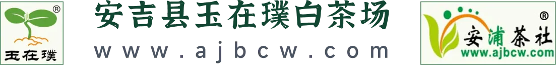 安吉白茶,白茶,白菜大哥