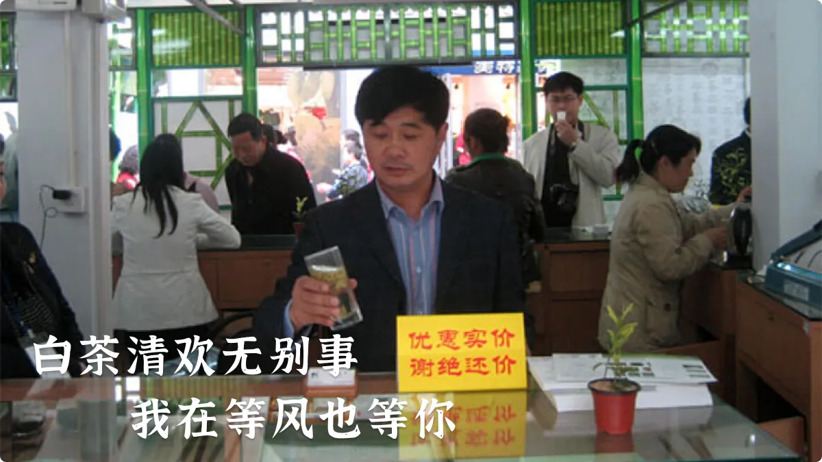 白茶大哥
